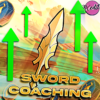 Sword Coaching